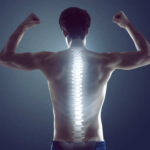 3 Things to Do for Better Spine Health